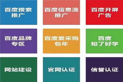 SEM营销案例：电商平台的流量密码